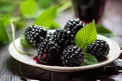 مهم ترین فواید توت سیاه برای زنان که از آن بی خبرید