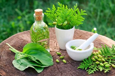  درمان بیماری‌های رایج با نسخه‌های طب سنتی ایرانی