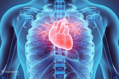 ویتامین‌های مورد نیاز قلب کدامند؟