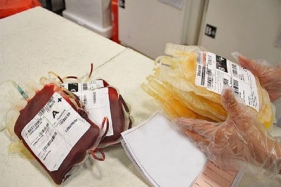 هشدار دیوان محاسبات نسبت به صادرات غیراصولی پلاسمای خون