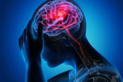 لزوم ایجاد شبکه پایدار بین علوم اعصاب و اجتماعی در کشور