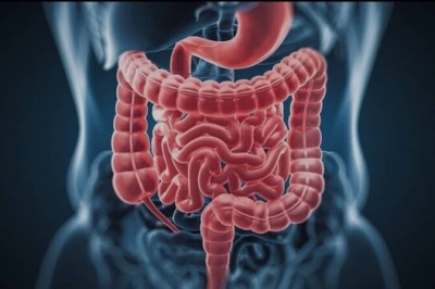 شیوع مشکلات گوارشی در دوران یائسگی