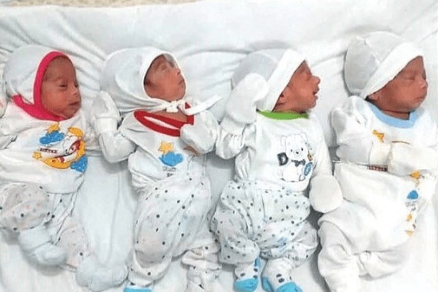 ثبت ۲۰۸ مورد تولد چندقلو در گیلان