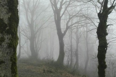 فوت کوهنورد لاهیجانی در مسیر «جنگل تاریک»