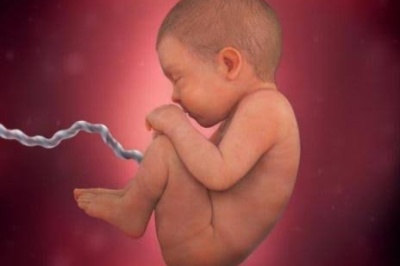 بازداشت متخلف به اتهام انجام سقط جنین غیرقانونی