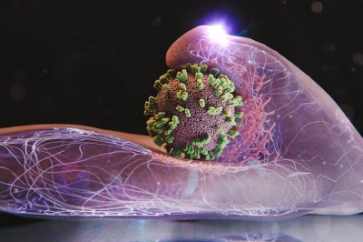 مهار موج شدید آنفلوآنزا در کشور طی هفته جاری